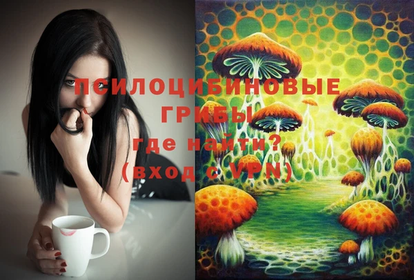 бутират Бородино