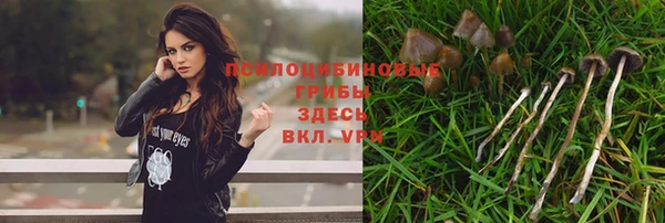 бутират Бородино