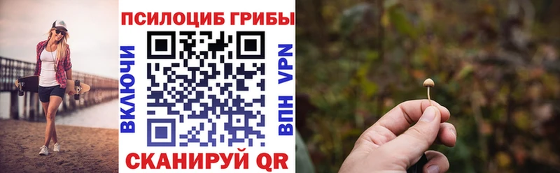Псилоцибиновые грибы Psilocybine cubensis  Советская Гавань 